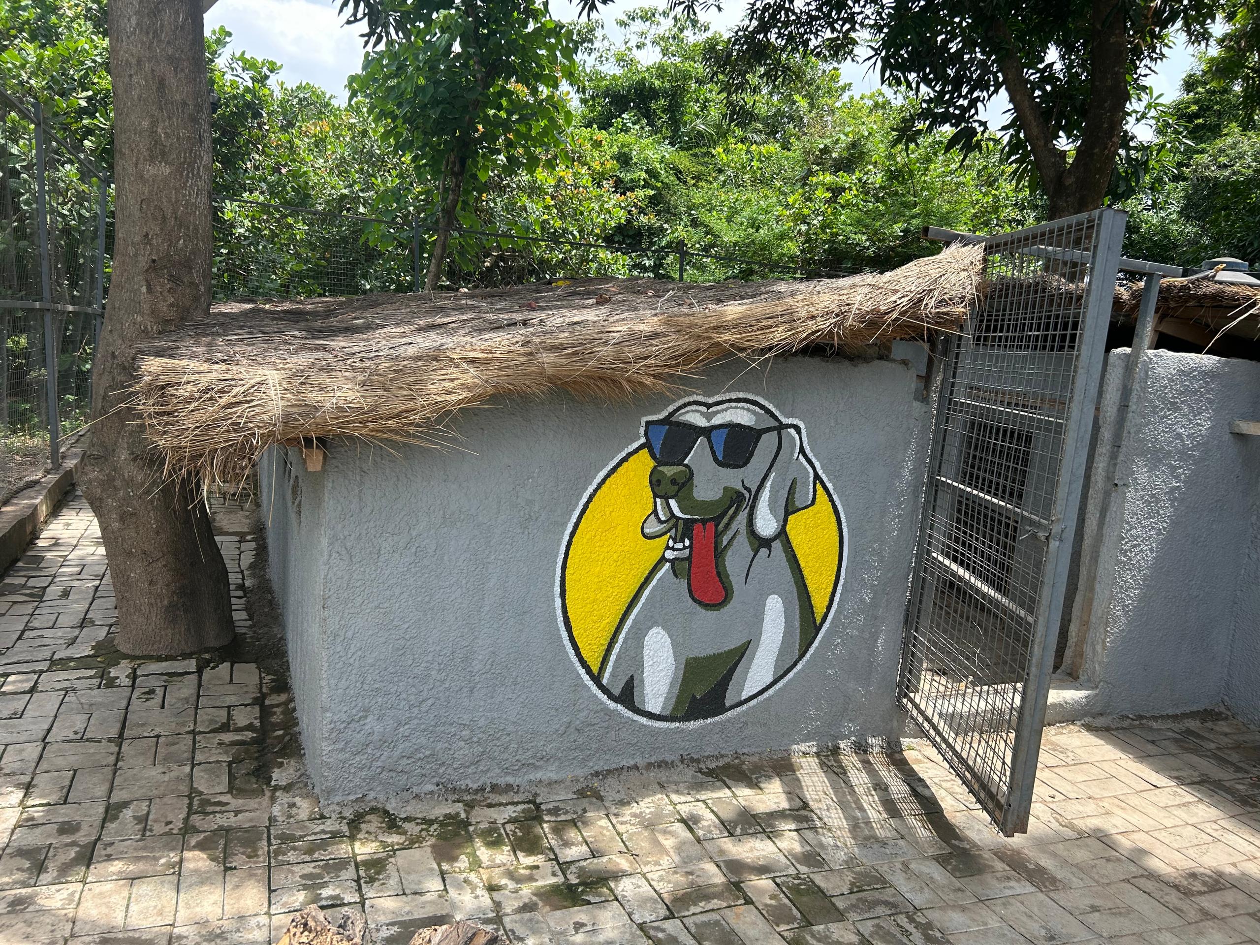 Lionheart Kennel gallery photo 15