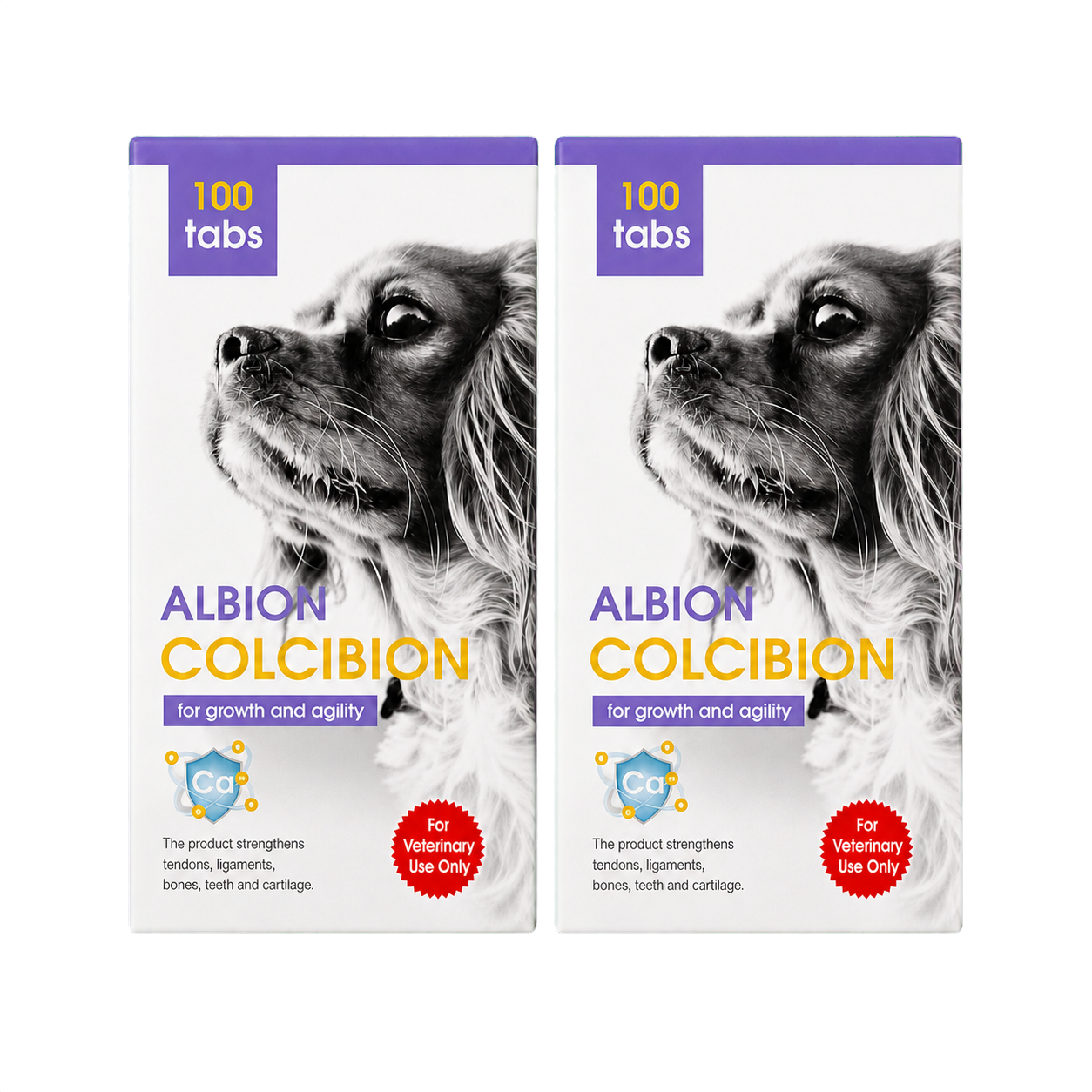 Colcibion